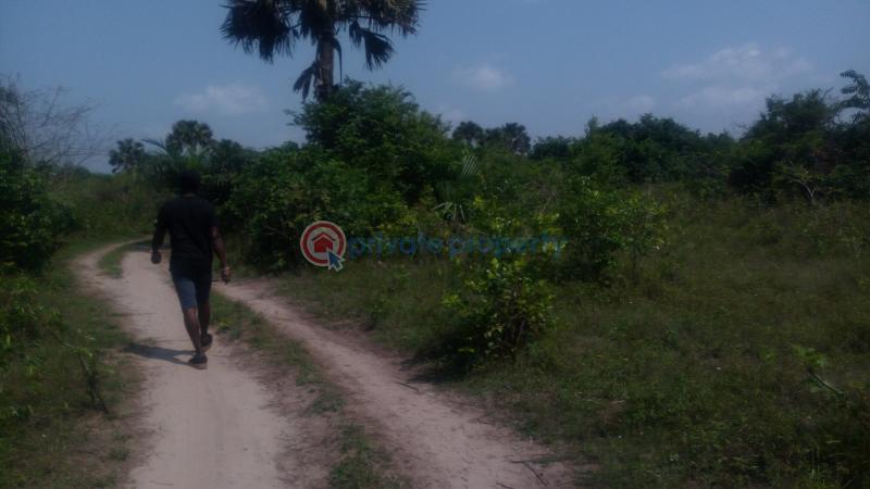 Land For Sale Off Lagos Badagry Expressway, Mowo Age Mowo Badagry Lagos - 6