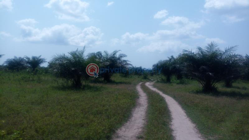 Land For Sale Off Lagos Badagry Expressway, Mowo Age Mowo Badagry Lagos - 4