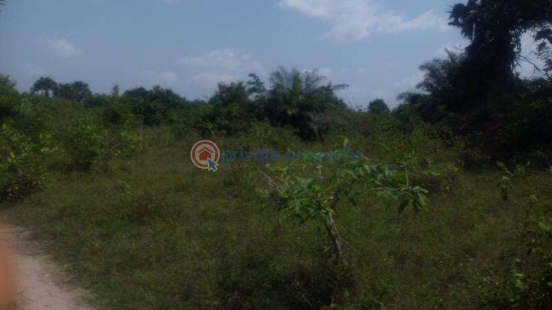 Land For Sale Off Lagos Badagry Expressway, Mowo Age Mowo Badagry Lagos - 7