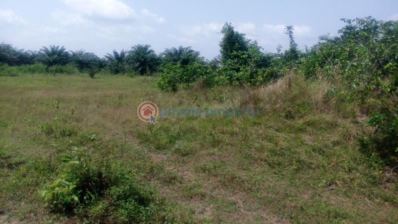 Land For Sale Off Lagos Badagry Expressway, Mowo Age Mowo Badagry Lagos - 5