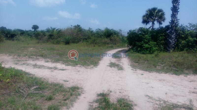 Land For Sale Off Lagos Badagry Expressway, Mowo Age Mowo Badagry Lagos - 3
