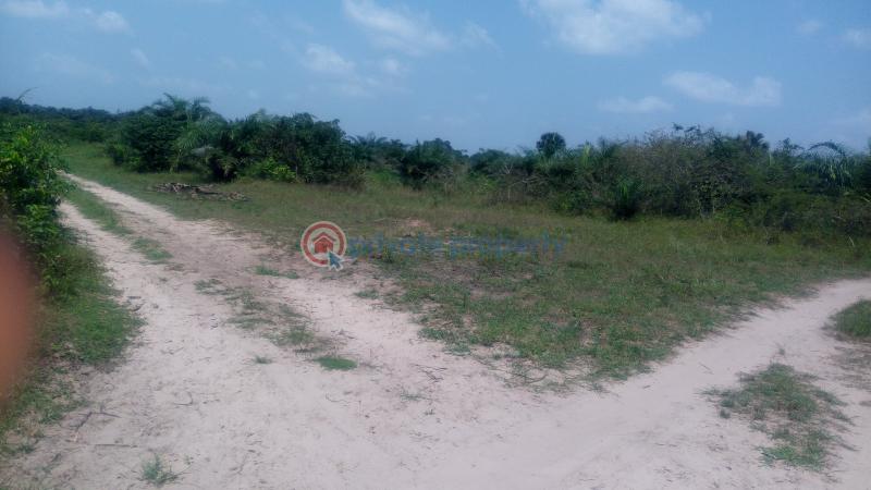 Land For Sale Off Lagos Badagry Expressway, Mowo Age Mowo Badagry Lagos - 10