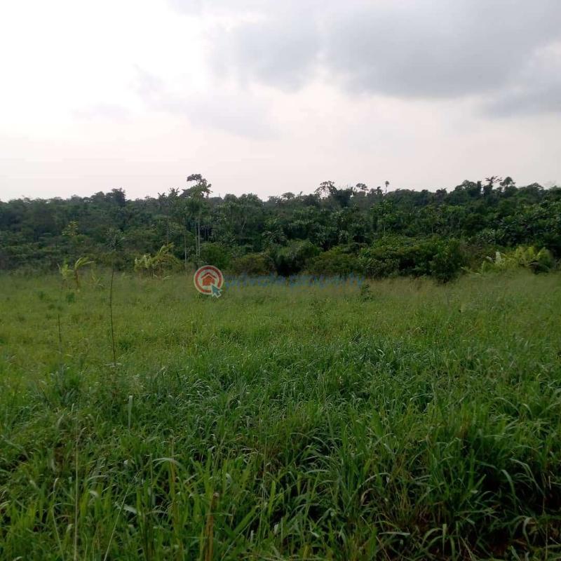 Land For Sale Iworo Ajido Ajido Badagry Lagos - 4