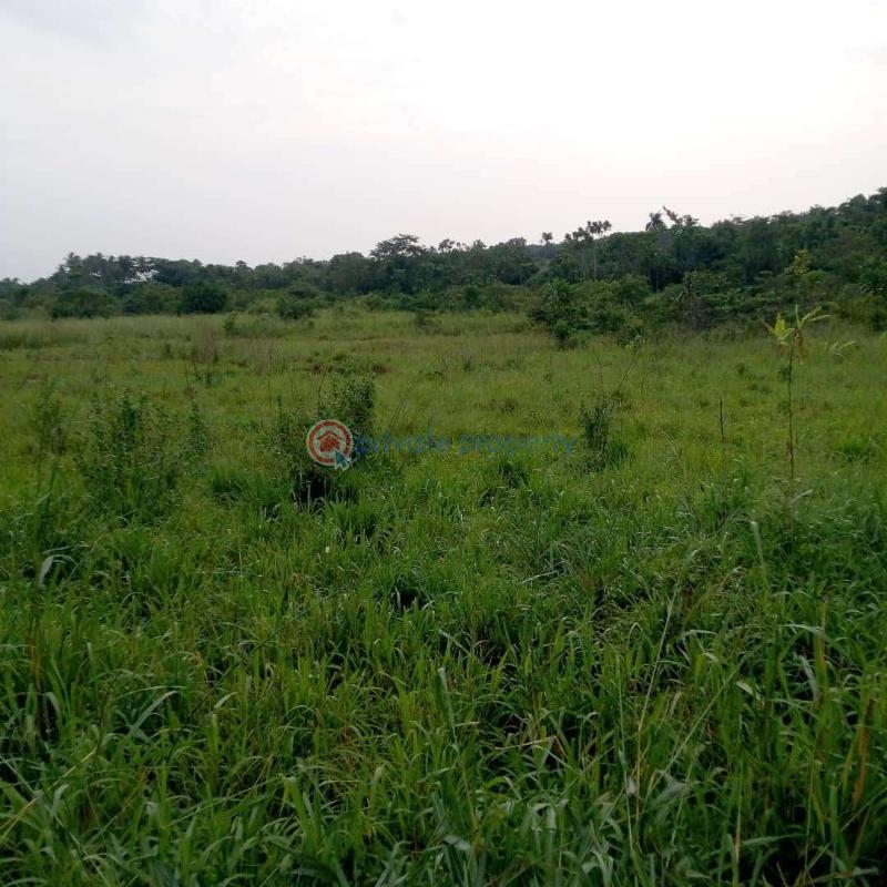 Land For Sale Iworo Ajido Ajido Badagry Lagos - 5