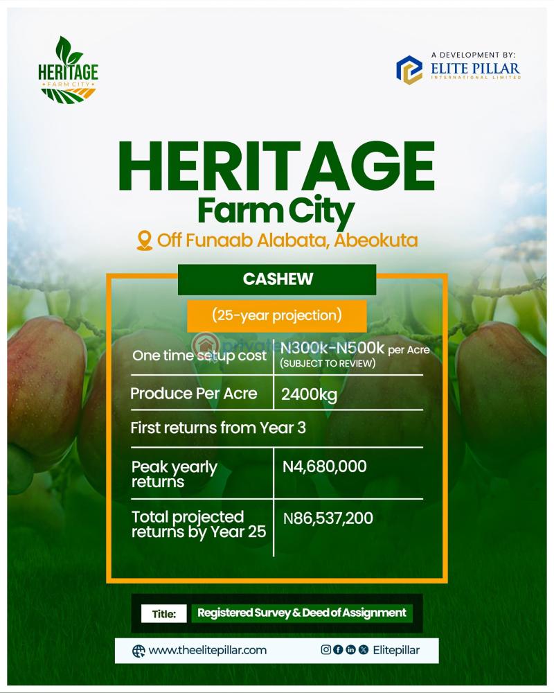 Industrial Land For Sale Five Minutes Drive Away From The University Of Agriculture. Alabata Abeokuta Ogun - 3