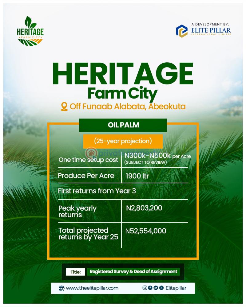 Industrial Land For Sale Five Minutes Drive Away From The University Of Agriculture. Alabata Abeokuta Ogun - 2