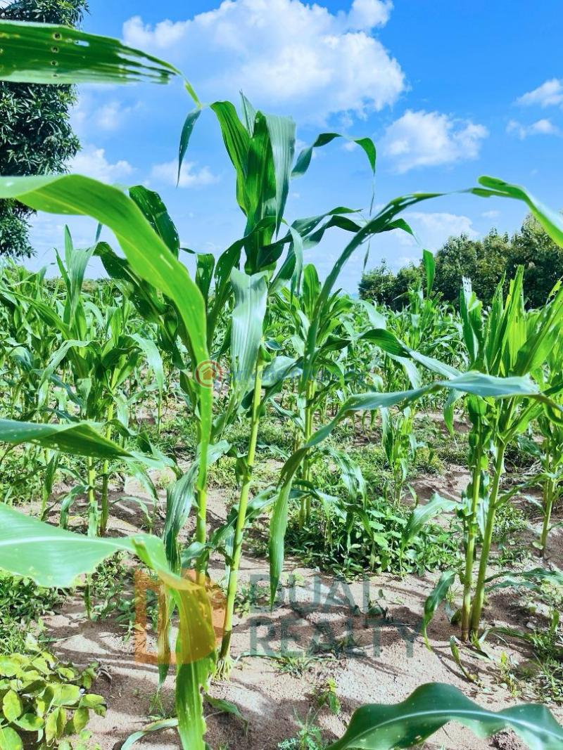 Commercial Land For Sale Monya Iseyin Road Moniya Ibadan Oyo - 8