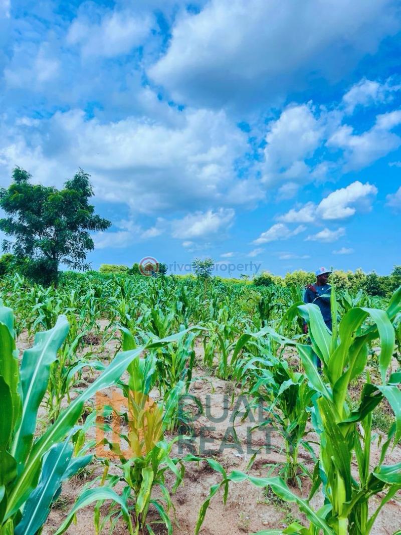 Commercial Land For Sale Monya Iseyin Road Moniya Ibadan Oyo - 4