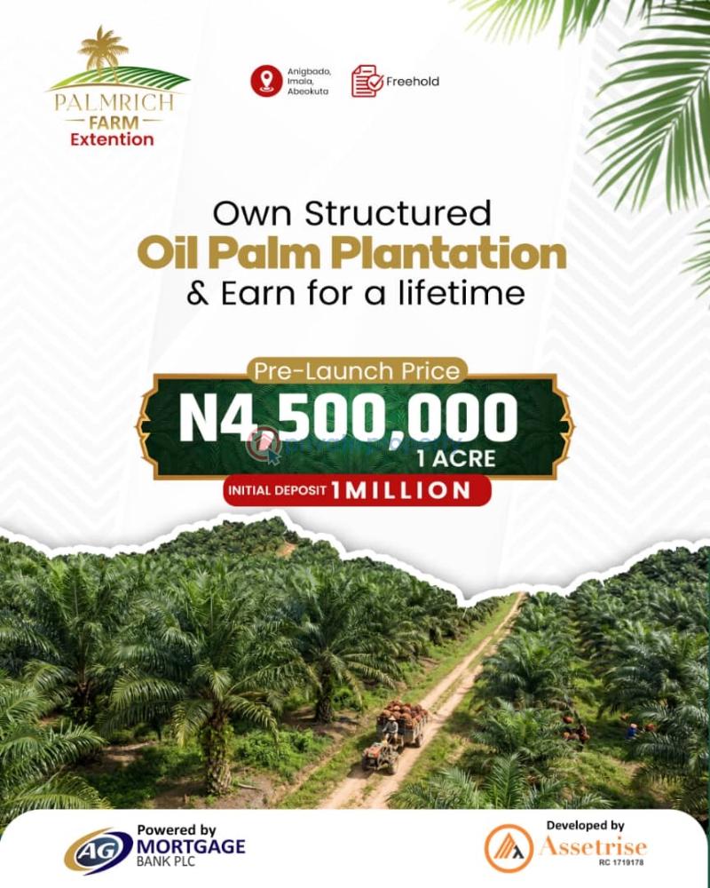 Commercial Land For Sale Anigbado, Imala Abeokuta Ogun - 0