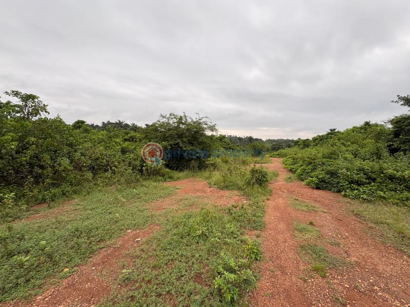 Mixed use Land For Sale Imodi Ijasi Ijebu Ode, Ogun State Ijebu Ode Ogun - 4
