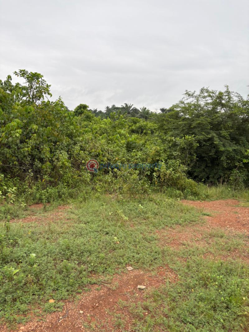 Mixed use Land For Sale Imodi Ijasi Ijebu Ode, Ogun State Ijebu Ode Ogun - 2