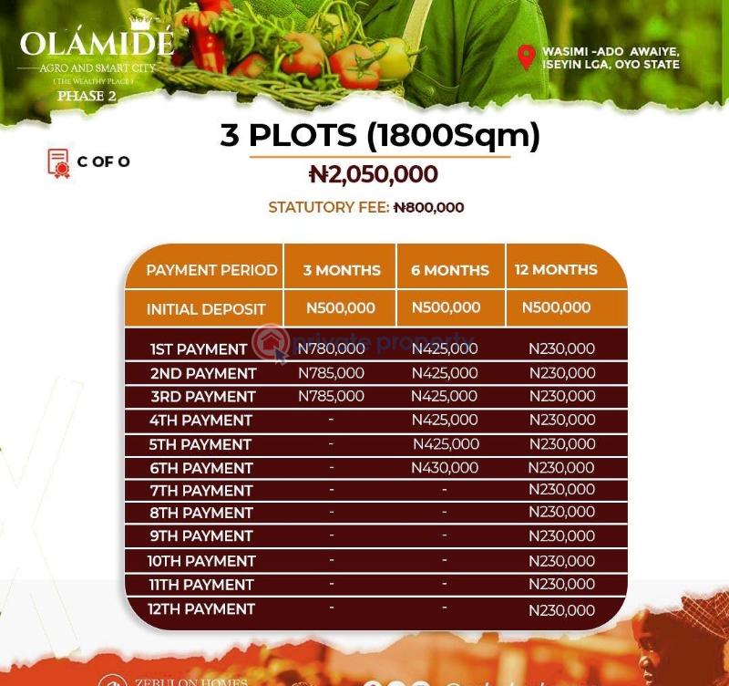 Mixed use Land For Sale Olamide Agro And Smart City Phase 2 Located At Wasimi Ado Awaye Iseyin Lga Oyo  - 1