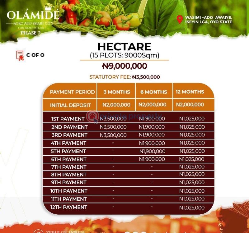 Mixed use Land For Sale Olamide Agro And Smart City Phase 2 Located At Wasimi Ado Awaye Iseyin Lga Oyo  - 3