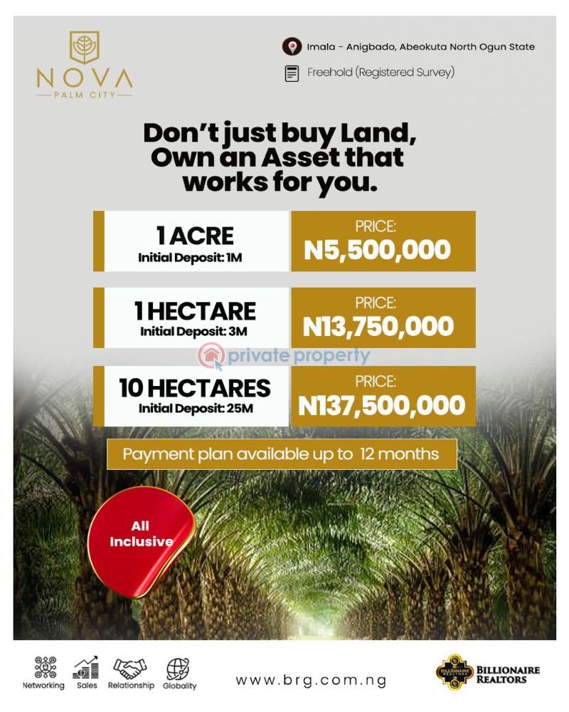 Commercial Land For Sale Nova Palm City Imala Anigbado Abeokuta North Lga Ogun State Amuwo Odofin Lagos - 3