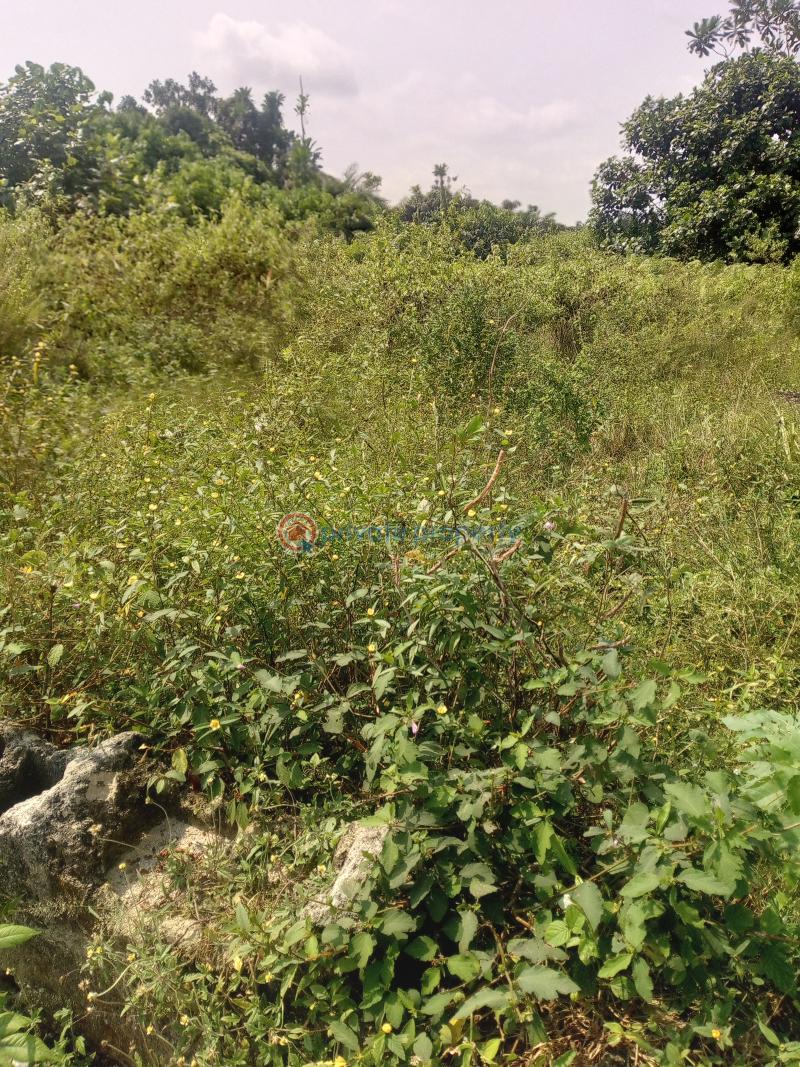 Residential Land For Sale Dangote Refinery, Lekki Deep Sea Port, Lekki Free Trade Zone, Kellogg Factory, Power Oil Factory, Lekki Coastal Road La Campaigne Tropicana Ibeju-Lekki Lagos