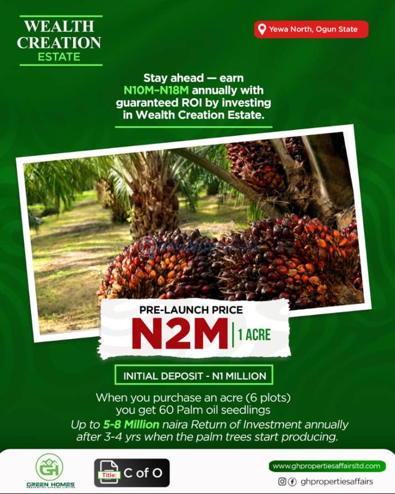 Residential Land For Sale Yewa North Ogun area  - 0