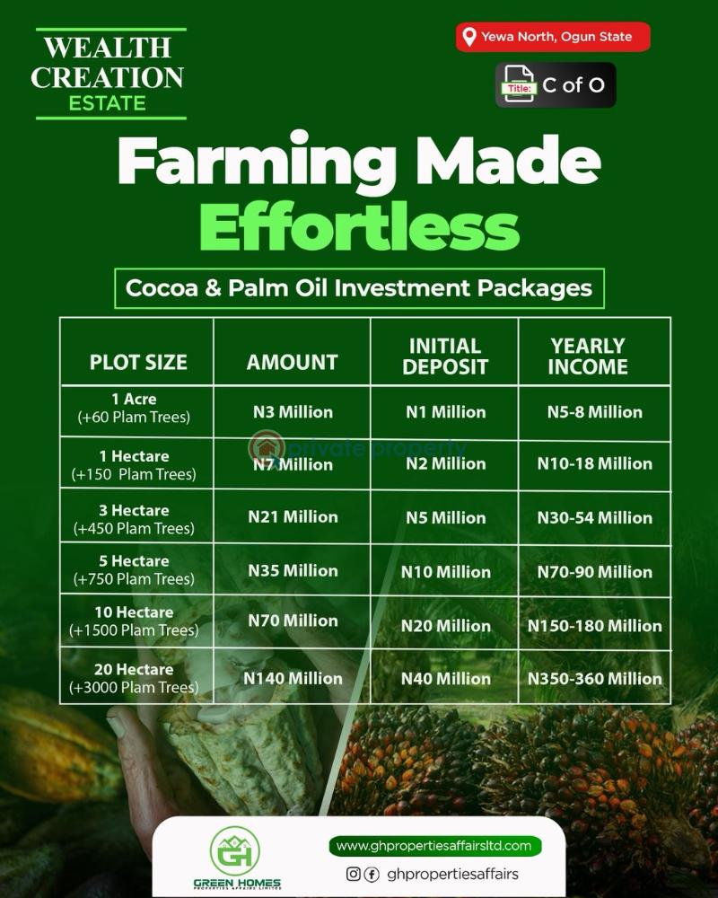 Residential Land For Sale Yewa North Ogun area  - 1