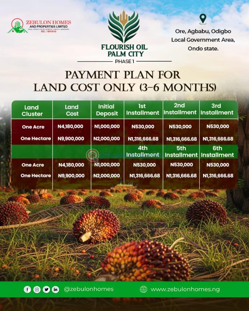 Commercial Land For Sale Flourish Oil Palm City Located At Ore Agbabu Odigbo Local Government Area Odigbo Ondo - 3