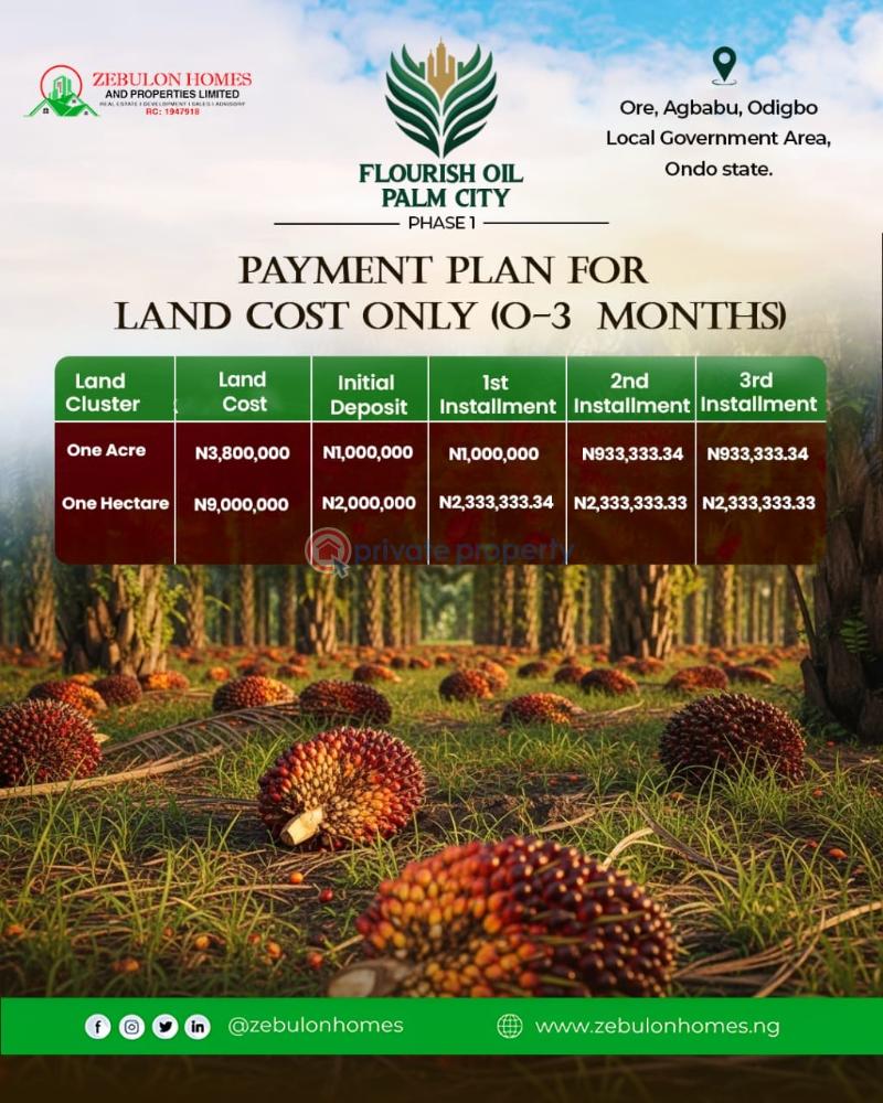 Commercial Land For Sale Flourish Oil Palm City Located At Ore Agbabu Odigbo Local Government Area Odigbo Ondo - 2