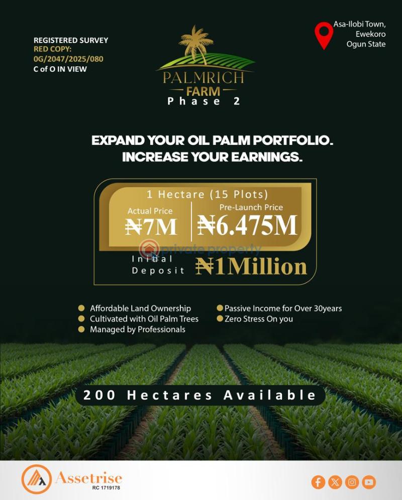 Mixed use Land For Sale Palmrich Farm 2 Asa Ilobi Town Onigbedu Ewekoro Ogun State Ewekoro Ogun - 1