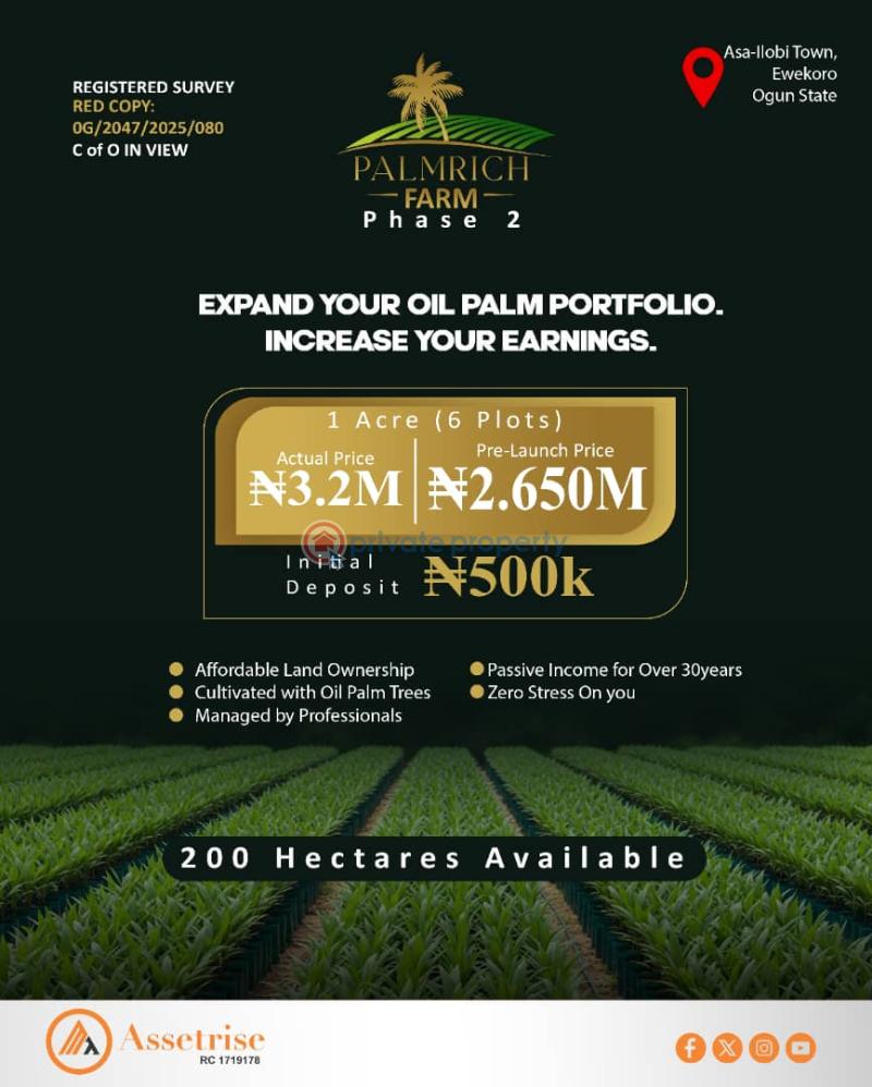 Mixed use Land For Sale Palmrich Farm 2 Asa Ilobi Town Onigbedu Ewekoro Ogun State Abule Ado Ewekoro Ogun - 0