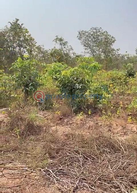 Land For Sale Anambra Polytechnic, National Youth Center. Purity Fm Awka North Anambra - 6