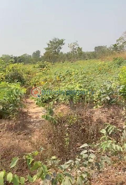Land For Sale Anambra Polytechnic, National Youth Center. Purity Fm Awka North Anambra - 8