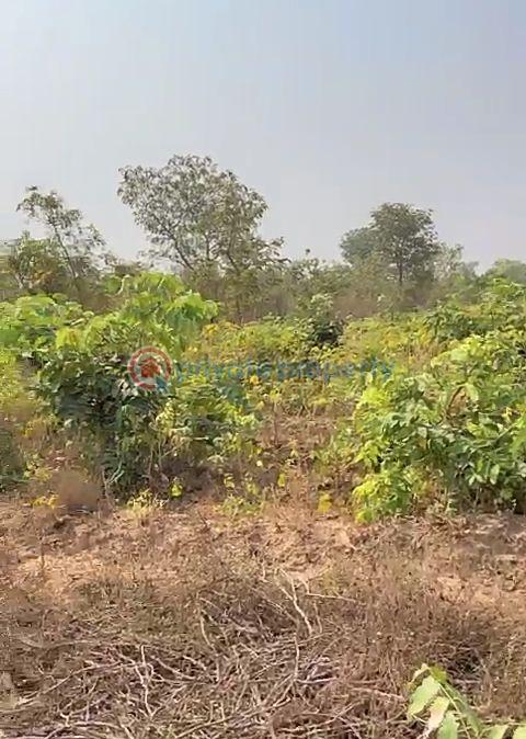 Land For Sale Anambra Polytechnic, National Youth Center. Purity Fm Awka North Anambra - 7