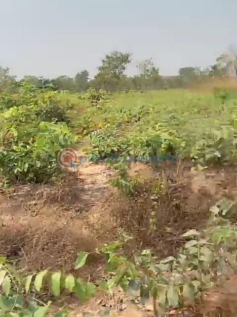 Land For Sale Anambra Polytechnic, National Youth Center. Purity Fm Awka North Anambra - 5