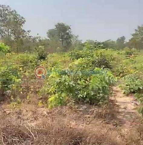 Land For Sale Anambra Polytechnic, National Youth Center. Purity Fm Awka North Anambra - 2