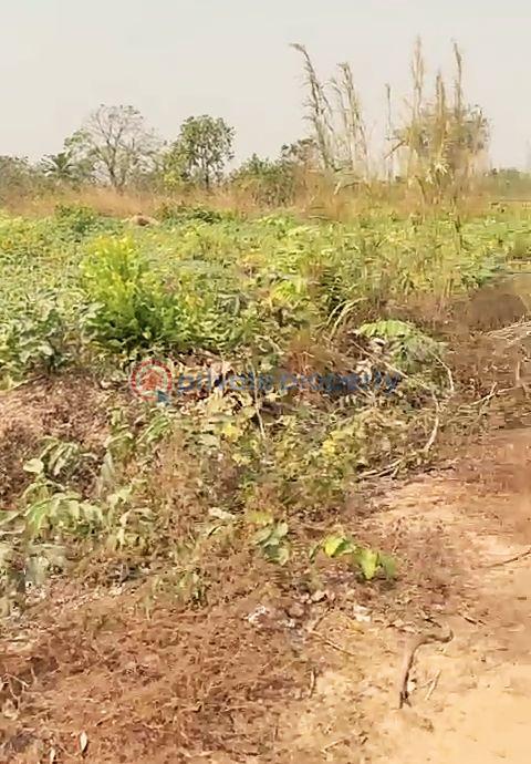 Land For Sale Anambra Polytechnic, National Youth Center. Purity Fm Awka North Anambra - 1