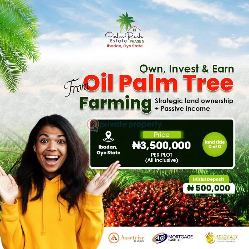 Commercial Land For Sale Iwo Road Ibadan Oyo Palmrich Estate Phase 5 Iwo Road Ibadan Oyo - 2