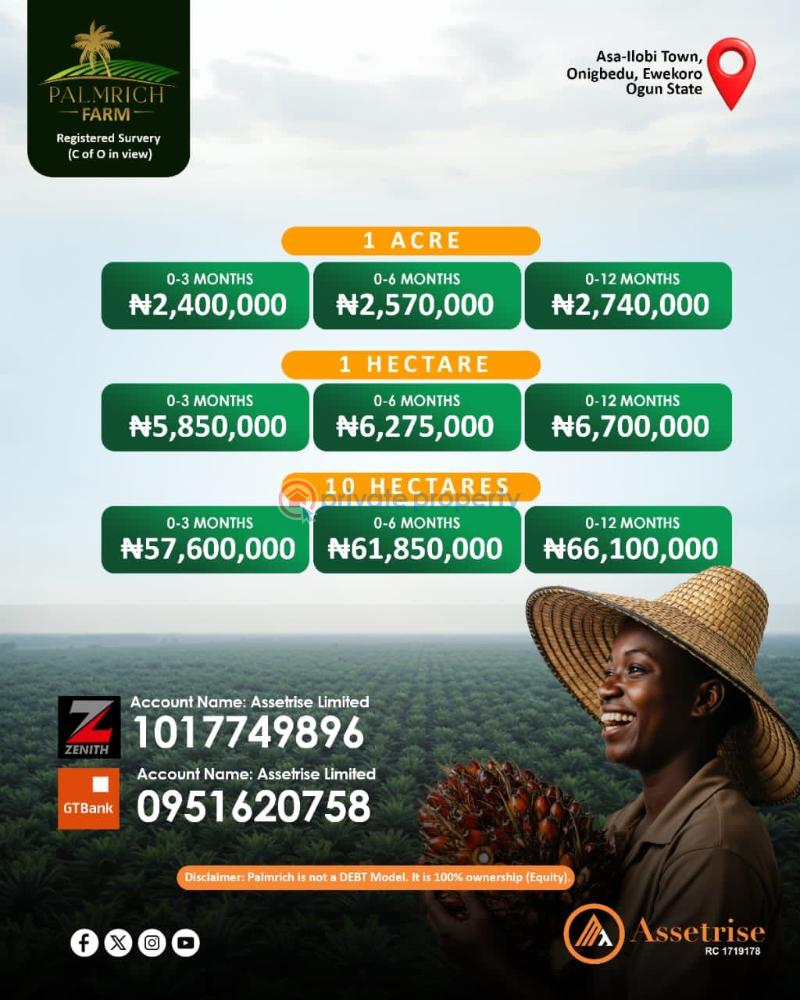 Mixed use Land For Sale Ewekoro Ogun - 3