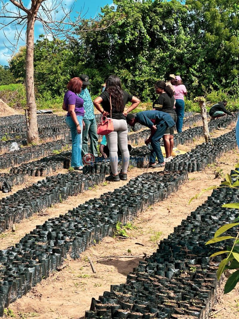 Mixed use Land For Sale Ewekoro Ogun - 3