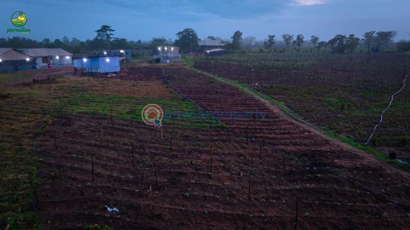 Commercial Land For Sale Ayireke Village, Odeda Local Government, Alabata, Abeokuta Alabata Abeokuta Ogun - 13