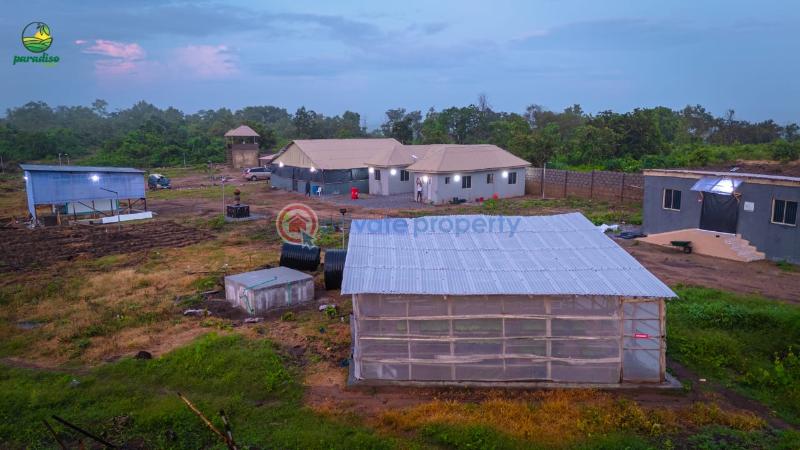 Commercial Land For Sale Ayireke Village, Odeda Local Government, Alabata, Abeokuta Alabata Abeokuta Ogun - 14