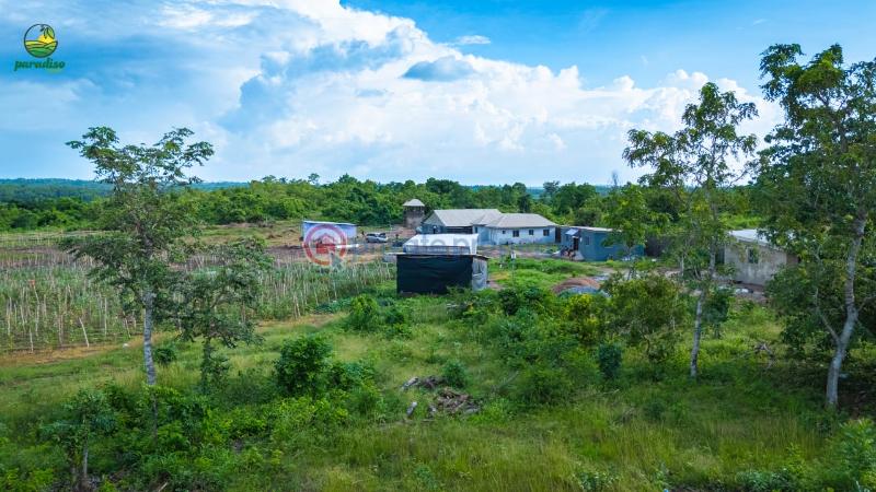 Commercial Land For Sale Ayireke Village, Odeda Local Government, Alabata, Abeokuta Alabata Abeokuta Ogun - 1