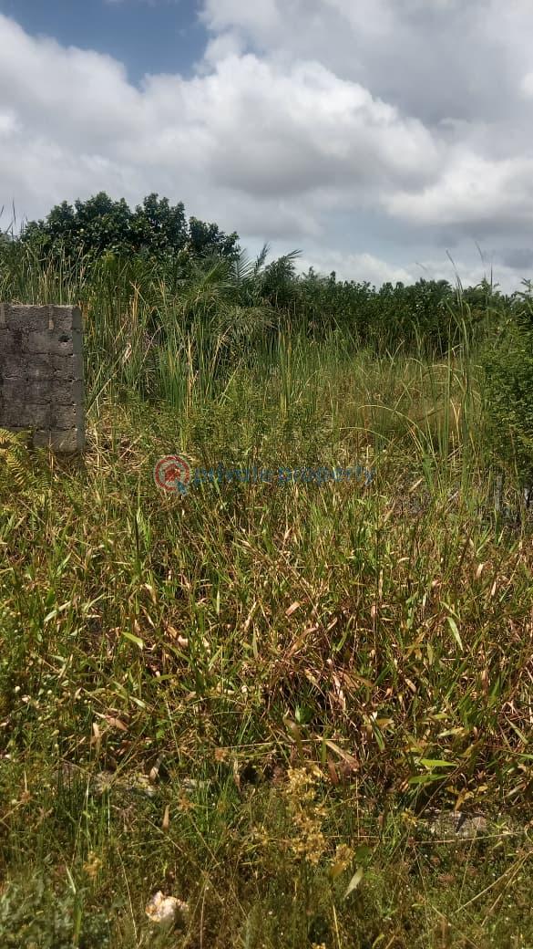 Residential Land For Sale Ajah Lagos