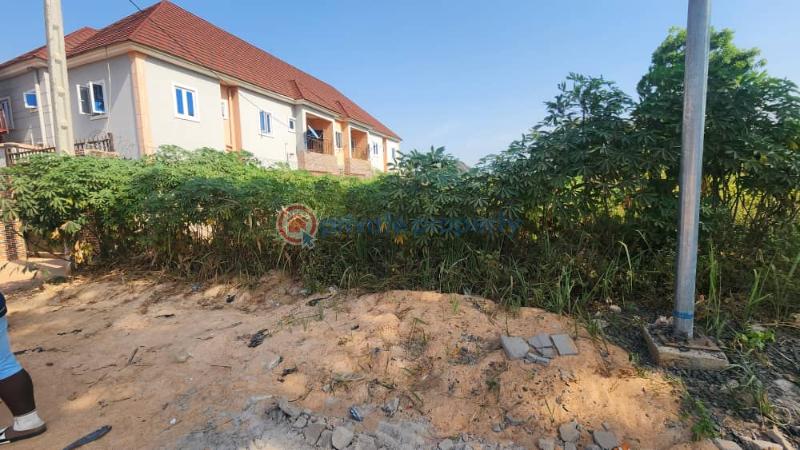 Residential Land For Sale Premier Layout, Enugu, Behind Goshen Estate Enugu Enugu Area  - 0