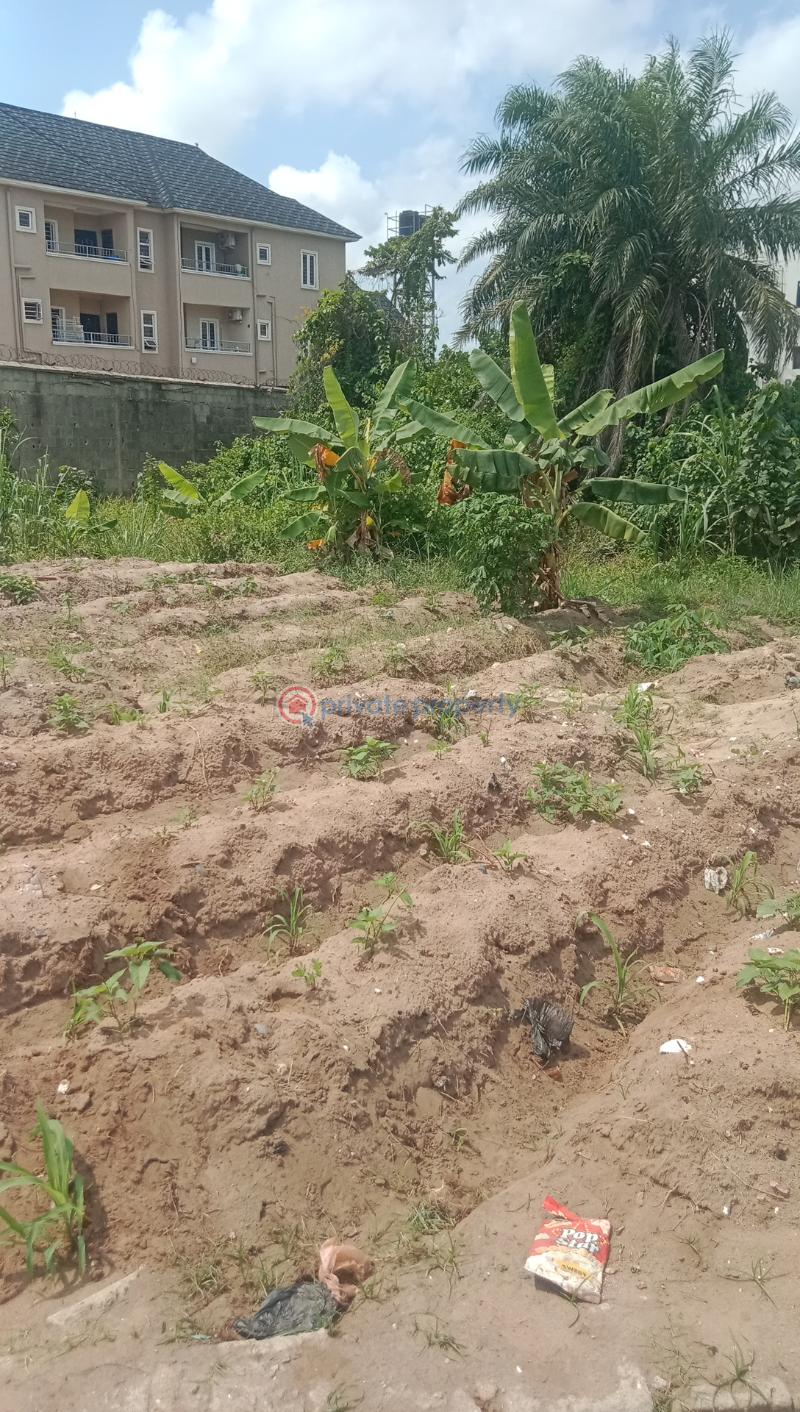Residential Land For Sale Lekki Scheme 2 Lekki Phase 2 Lagos - 1