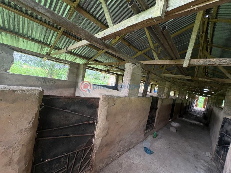 Tank Farm For Sale Isiukhukhu At Ekiadolor Benin Edo - 12