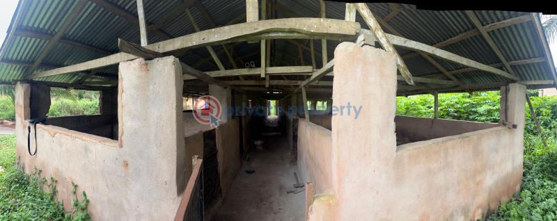 Tank Farm For Sale Isiukhukhu At Ekiadolor Benin Edo - 7