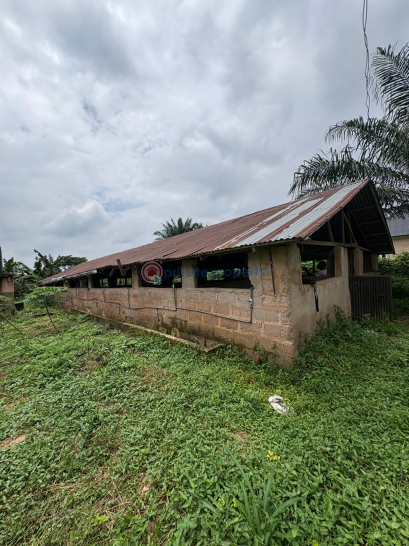 Tank Farm For Sale Isiukhukhu At Ekiadolor Benin Edo - 1