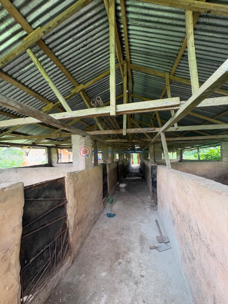 Tank Farm For Sale Isiukhukhu At Ekiadolor Benin Edo - 10
