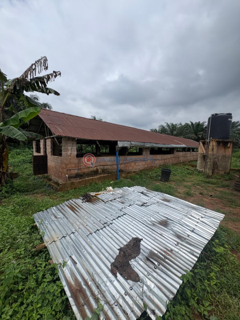 Tank Farm For Sale Isiukhukhu At Ekiadolor Benin Edo - 7