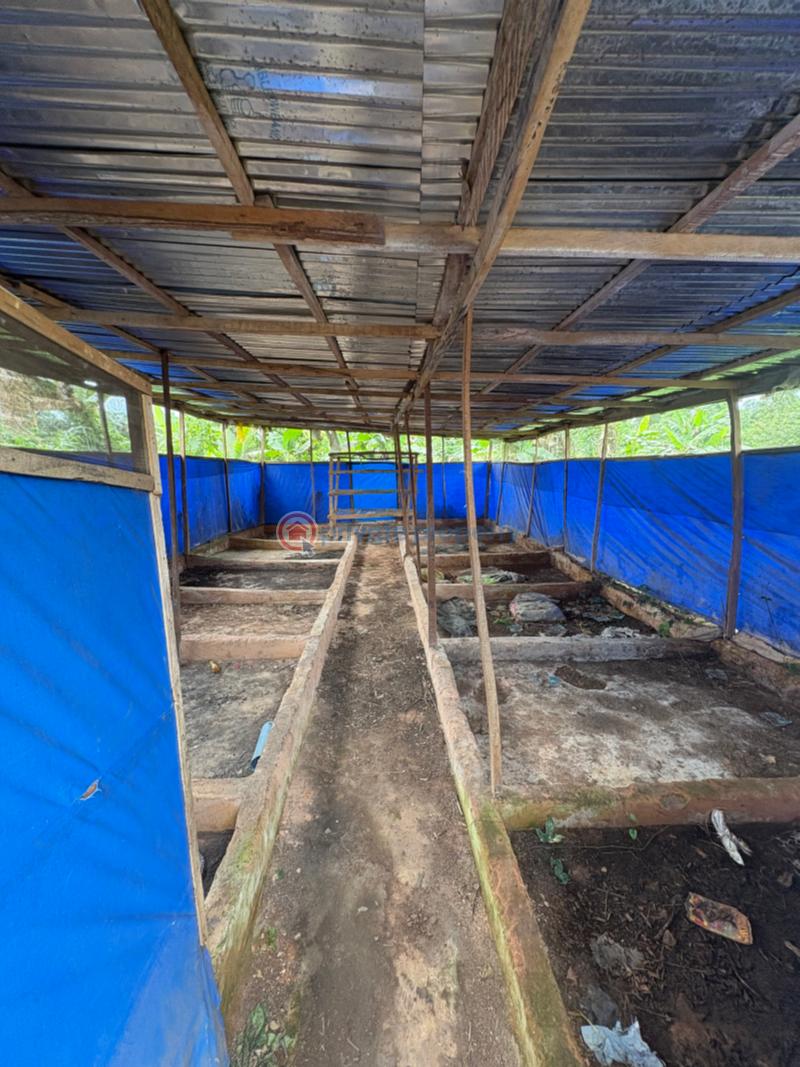 Tank Farm For Sale Isiukhukhu At Ekiadolor Benin Edo - 6