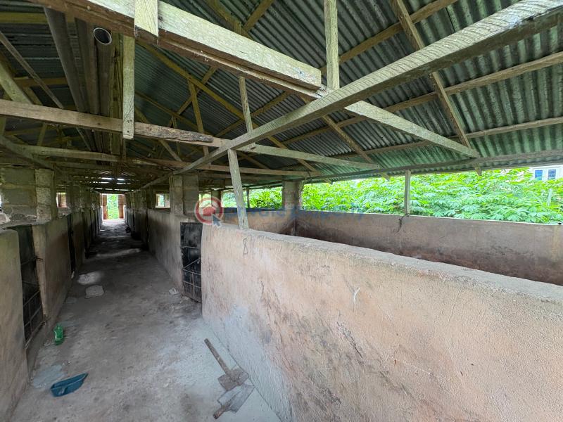 Tank Farm For Sale Isiukhukhu At Ekiadolor Benin Edo - 4