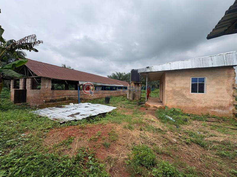 Tank Farm For Sale Isiukhukhu At Ekiadolor Benin Edo - 13