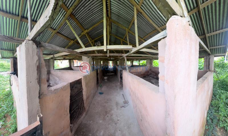 Tank Farm For Sale Isiukhukhu At Ekiadolor Benin Edo - 6