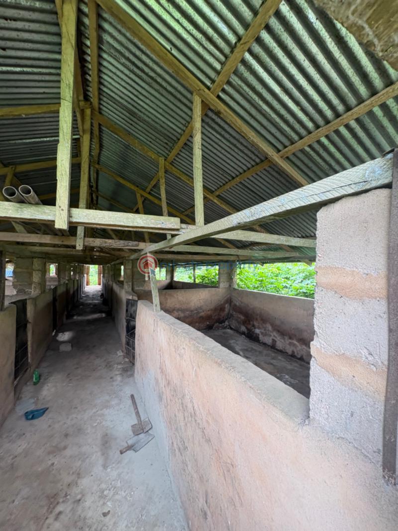 Tank Farm For Sale Isiukhukhu At Ekiadolor Benin Edo - 9